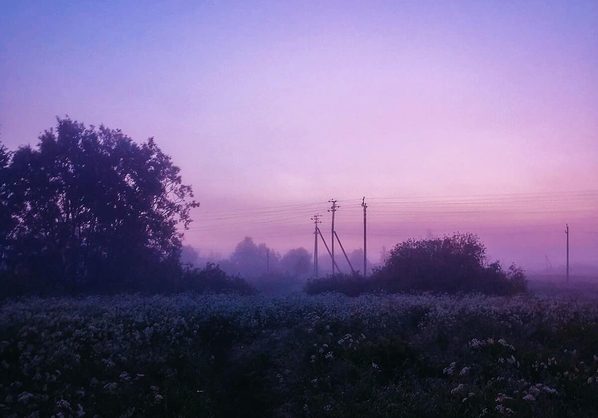 每日大赛人员变动之后，圈内人一句话更还原终于解释清楚了：比想象中更狠