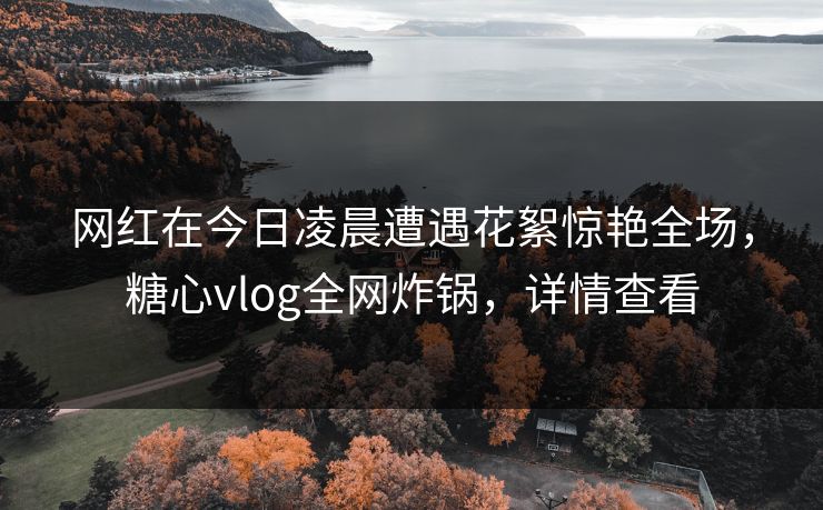 网红在今日凌晨遭遇花絮惊艳全场,糖心vlog全网炸锅,详情查看 网红在今日凌晨遭遇花絮惊艳全场,糖心vlog全网炸锅,详情查看